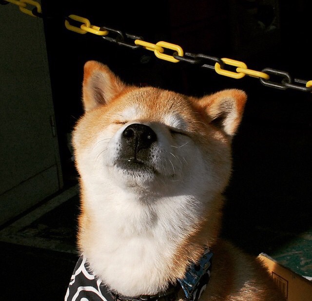 Kaiyun官方登录入口-OG·阿努诺比在NBA常规赛中展现团队合作精神，og阿奴诺比集锦