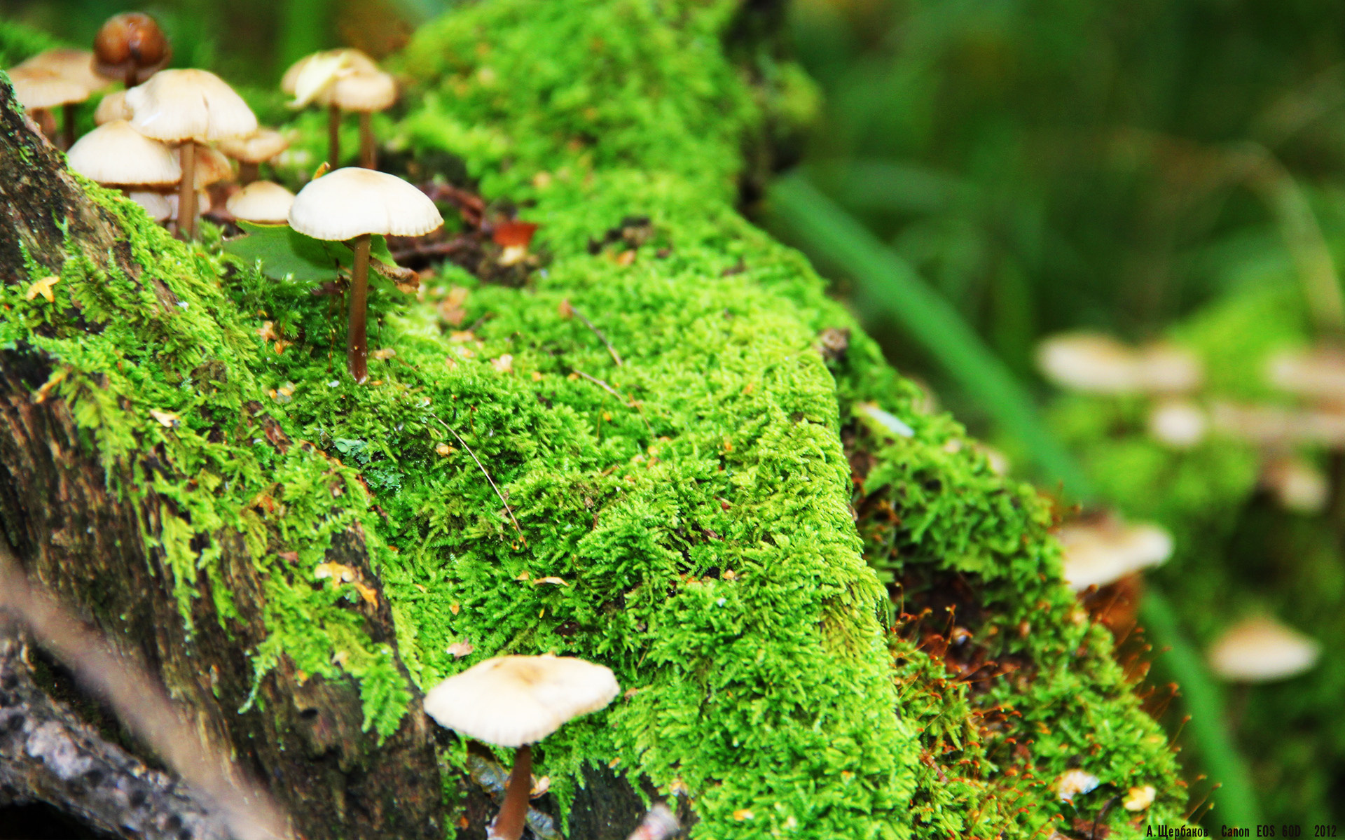 _场外动态:运动员生活花絮大公开_,运动员生活照片