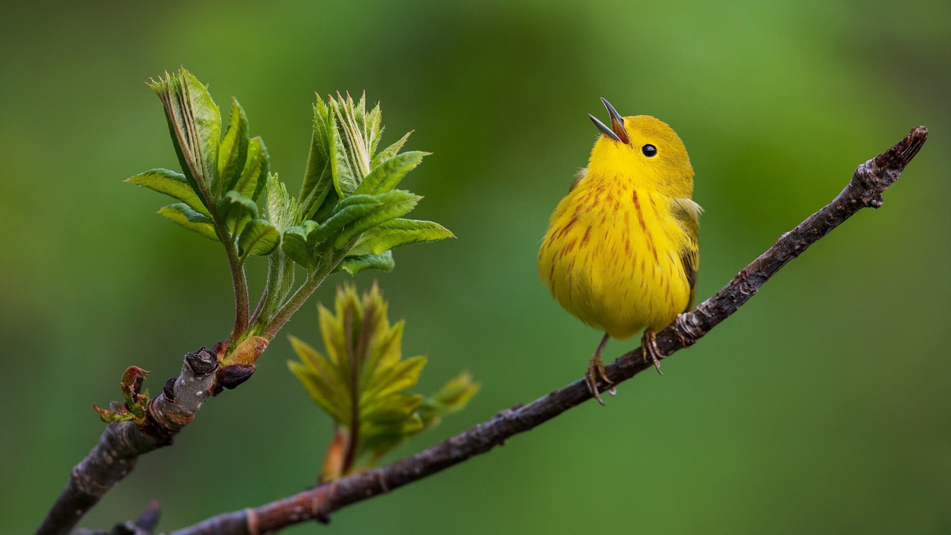 kaiyun登录入口-_电动滑板比赛：城市速度新宠_，电动滑板2021新规