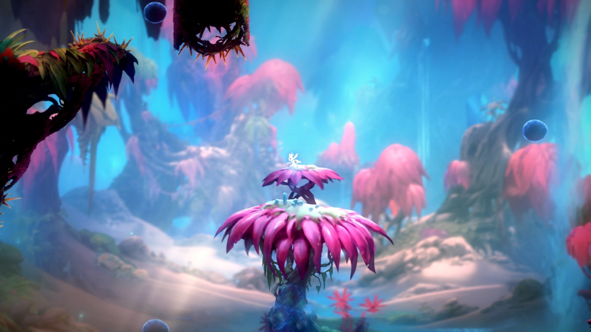 开云·体育官网-_猛龙奋勇直追，逆转取胜_，猛龙追击