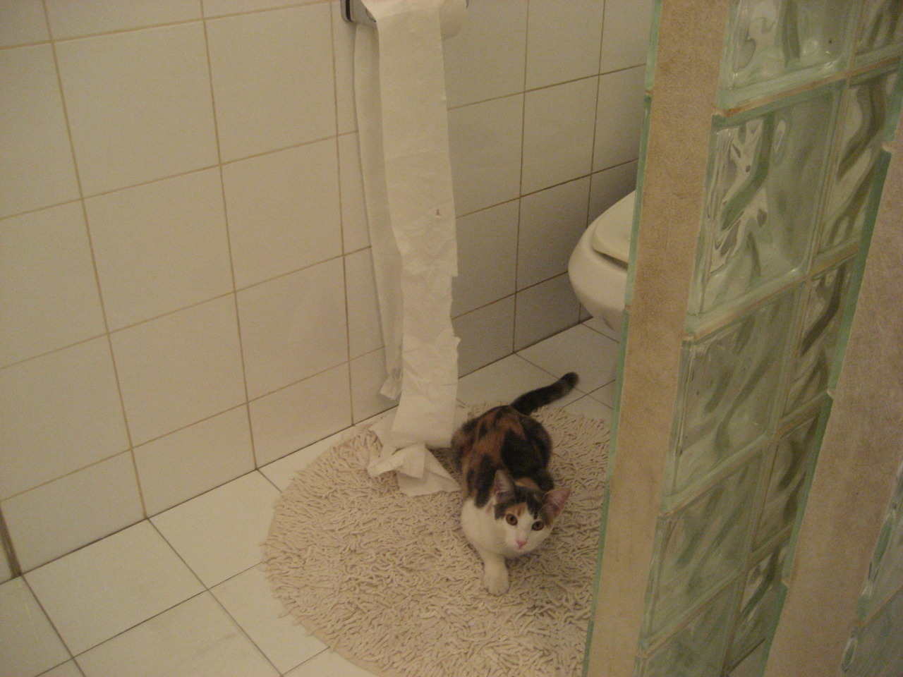 《Valorant新星崛起,冠军竞猜持续升温》,valorant s赛