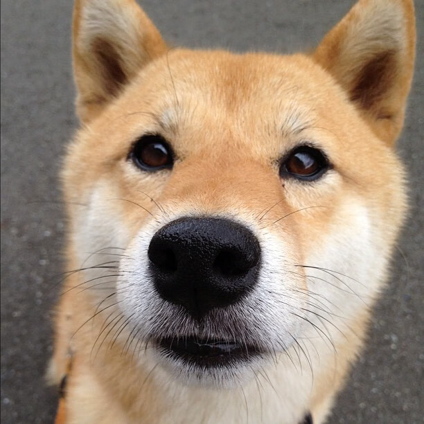 开云网页版-《2025英雄联盟全球总决赛，KT战队上演史诗逆转》，20年lol全球总决赛