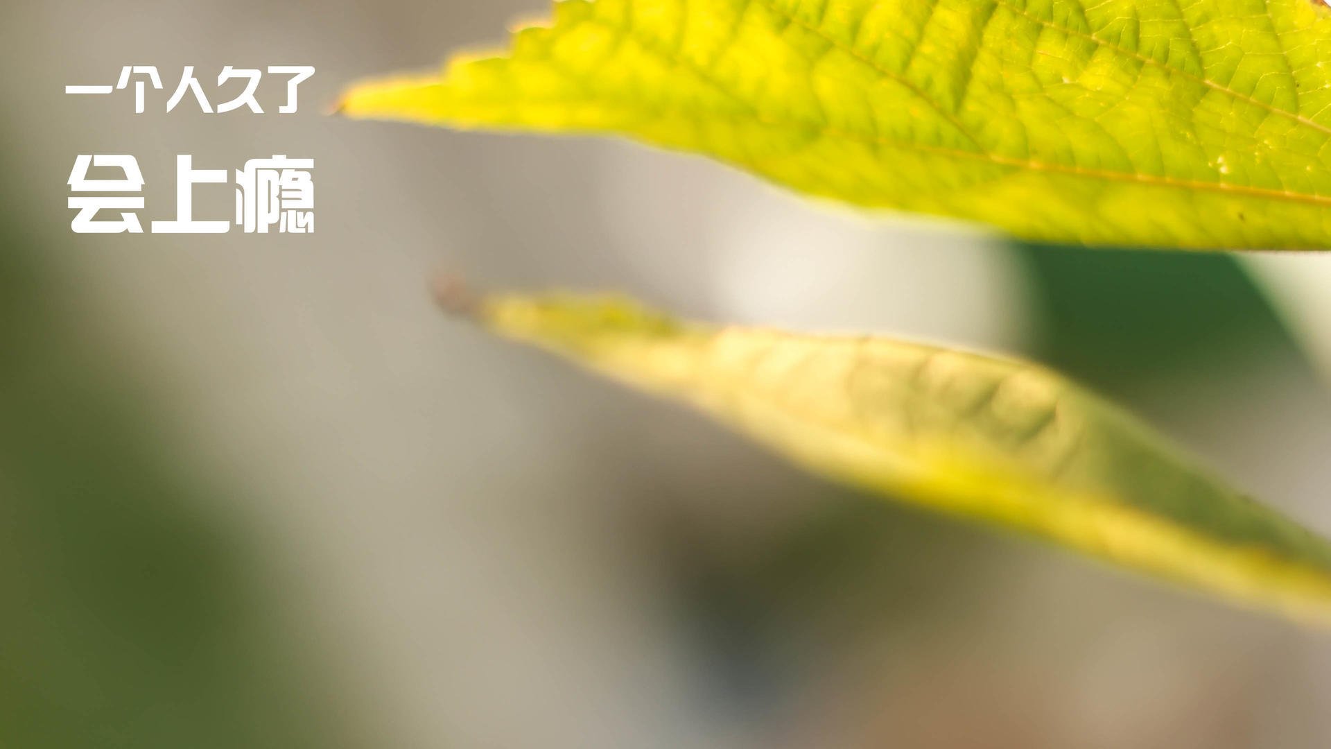 激烈对抗!对手势均力敌矢志创造奇迹,手对手动作要领