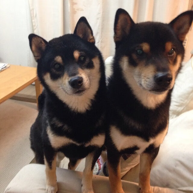 开云体育APP下载-维达德卡萨布兰卡球员获选国际赛事最佳球员，卡萨布兰卡 经典