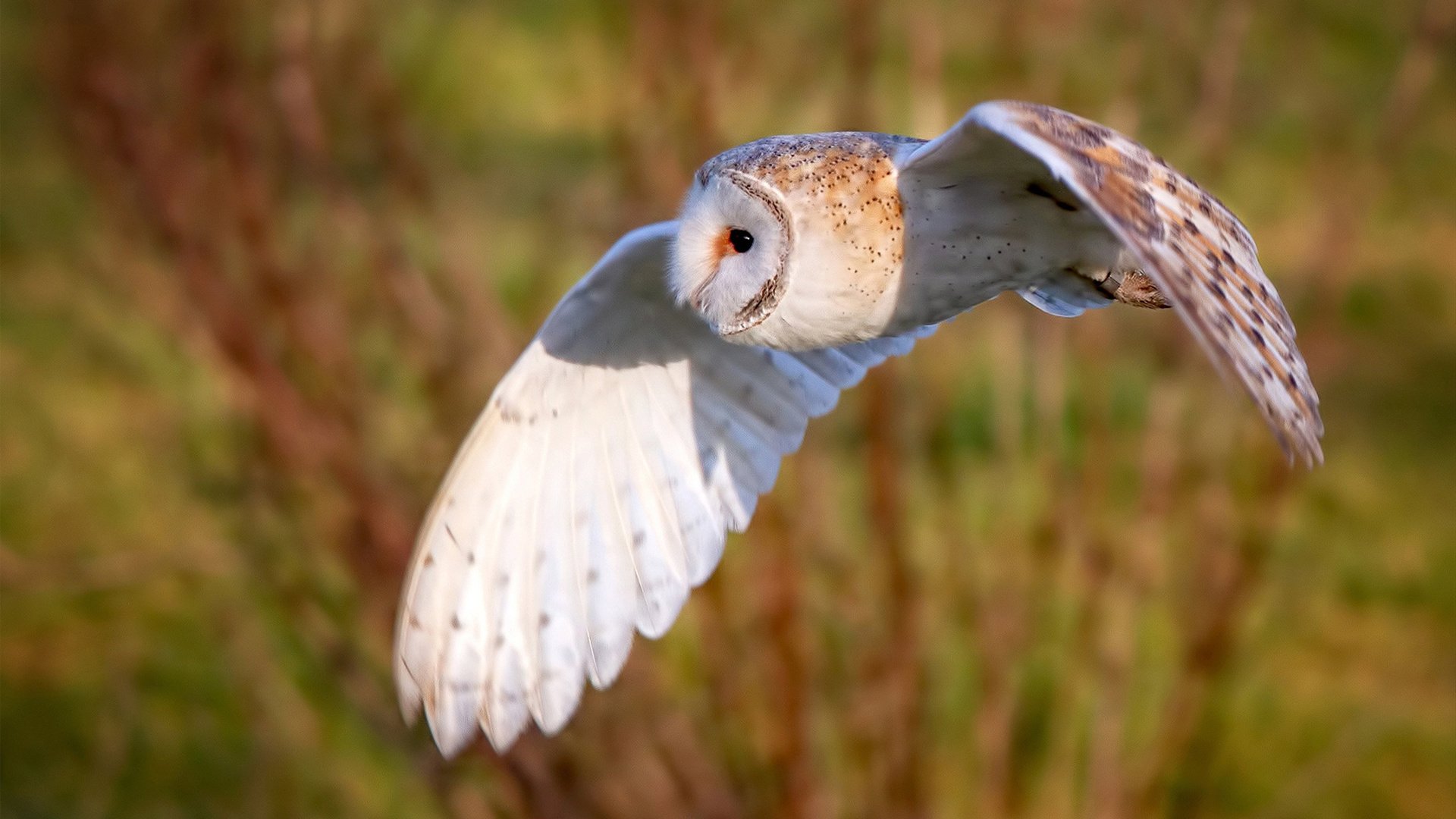 kaiyun开云·官方网站-德甲球队构建动态战术模拟平台提升应变能力