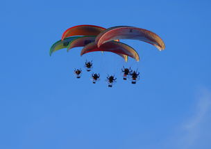 kaiyun.com-英超球队结合疲劳评分系统动态分配替补上场时机，英超伤病报告_球员受伤成本逐年攀升