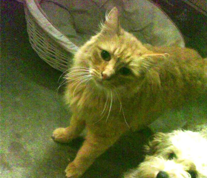 kaiyun体育综合-“武汉马拉松：耐力之王的角逐”