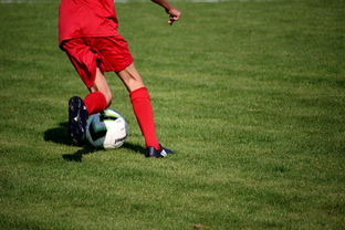 Kaiyun(中国)开云-青训球员选拔机制存在结构性偏见，青训选拔喜欢那种球员