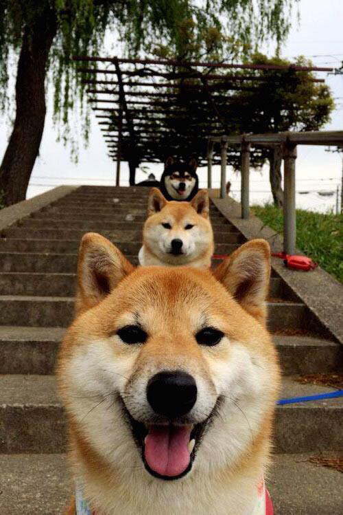 开云官方-东契奇谈减少失误是未来进步关键，东契奇的未来